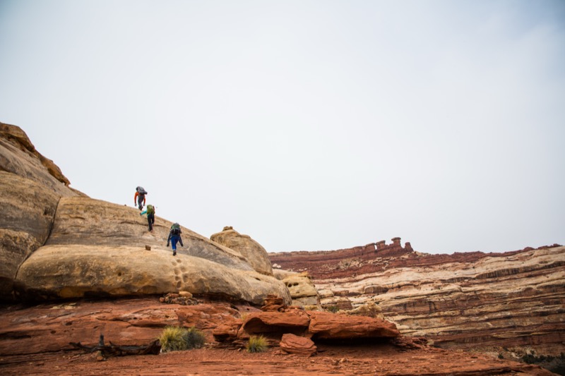 20151128-GC1A0550.jpg